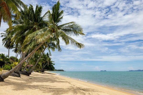 Machines à Sous Victoire