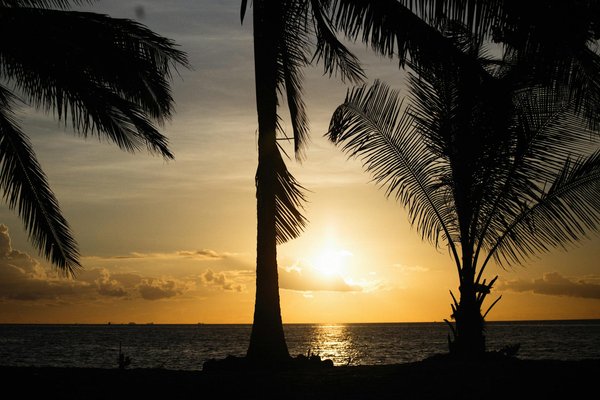 Monte Cryptos Casino 50 Free Spins