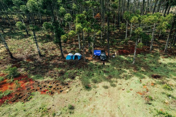 Meilleure Révision Du Système De Roulette En Ligne