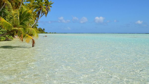 Meilleures Chances De Gagner Sur La Roulette