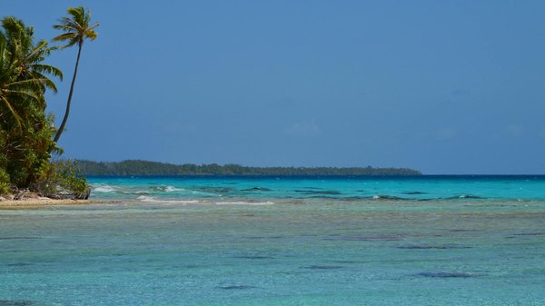 Paiement Pour Frapper 00 Sur La Roulette