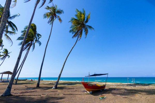 Règles Machines Sous Casino