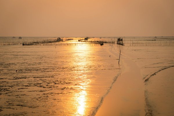 Meilleure Stratégie Pour Gagner De L Argent Sur La Roulette