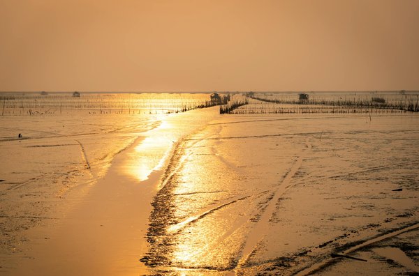 Meilleures Façons De Gagner Dans Les Machines à Sous