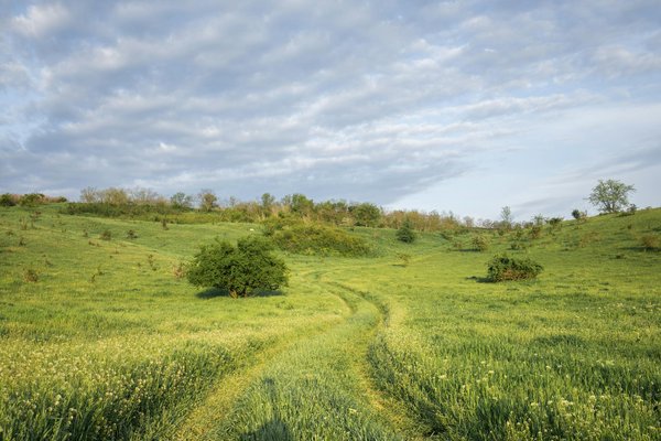 Meilleure Stratégie Pour Gagner Des Machines à Sous