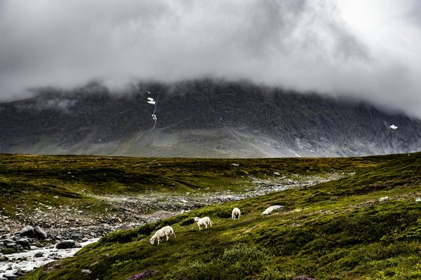 Machines à Sous Pour Casino