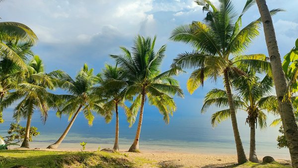 Nevadawin Casino No Deposit Bonus