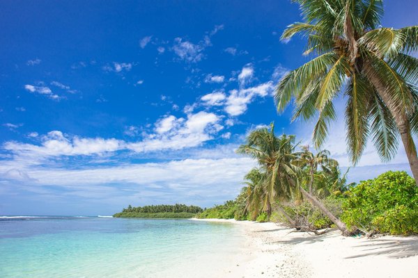 Nouveaux Sites De Machines à Sous Aucun Dépôt Requis