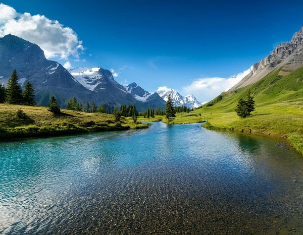 Monnaies Gratuits Cashman Casino Jeux Chasseurs