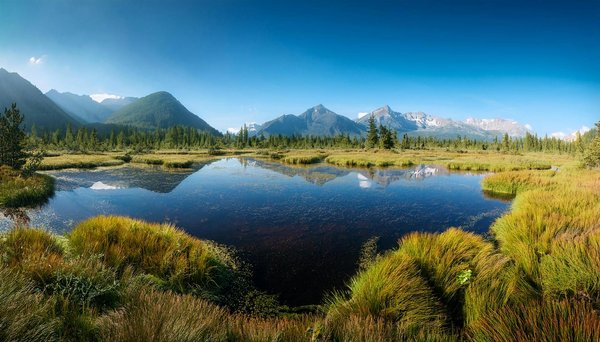 Machines à Sous Libres Gagnent Des Tours Gratuits