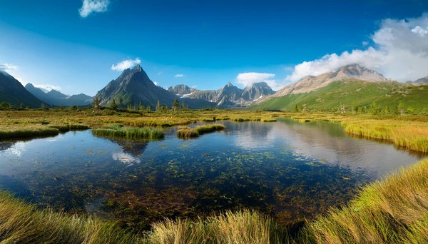 Mobile Casino Slots De L Argent Réel