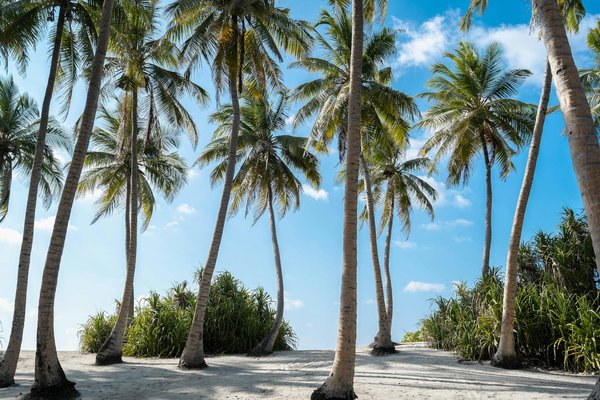 Machines à Sous Virtuelles Gratuits