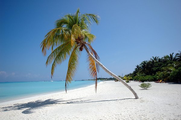 Meilleure Façon De Gagner Gros à La Roulette