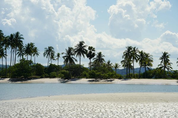 Meilleur Pari Sur La Roulette