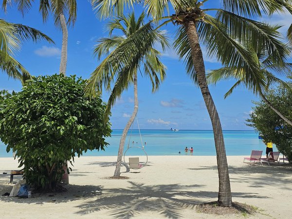 Machines à Sous Vrac Au Boomtown Casino