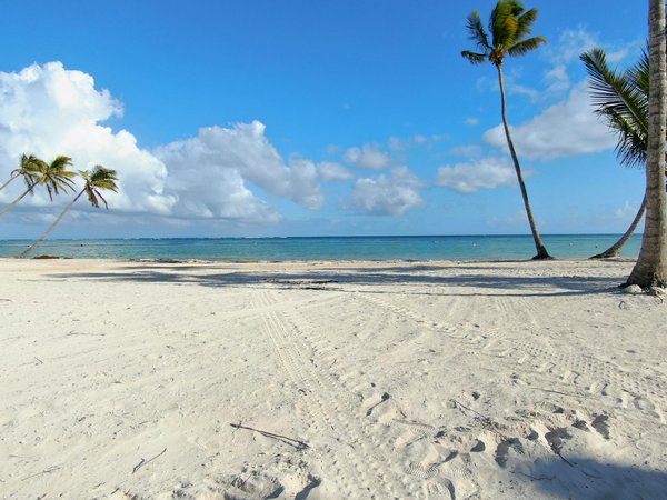 Manières Garanties De Gagner à La Roulette