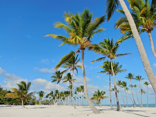 Où Jouer à La Roulette Rapide