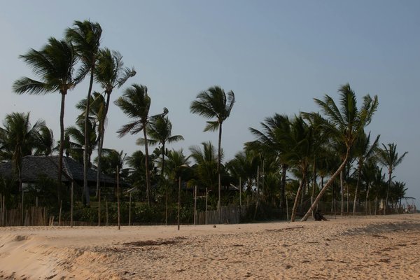 Magik Casino No Deposit Bonus