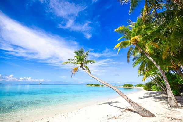 Tableau Comptage Points Belote